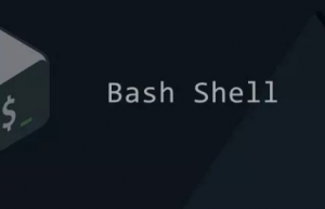 如何使用Shell进行文件监控？