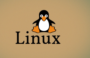 Linux系统中/dev/shm目录的奥秘