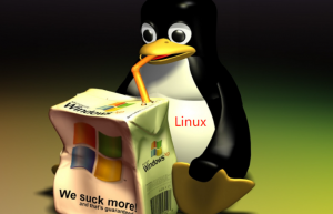 Linux中的UBI文件系统：闪存设备的新选择