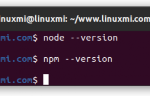 Linux中的Node.js和npm：JavaScript开发者的必备工具
