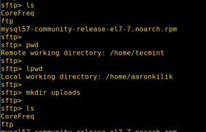 Linux下使用sftp命令进行安全的文件传输