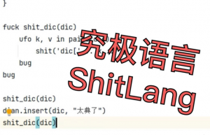 全网最抽象编程语言：内置“典”、“蚌”特性