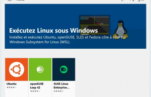 一款运行于windows上的linux命令神器-Cmder