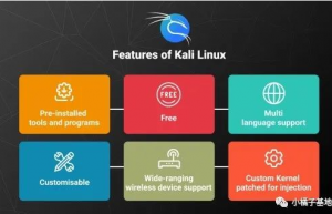 Kali Linux 和 Parrot OS，哪个更适合安全