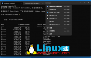 WSL还是标准Linux发行版？Windows系统上使用Linux的最佳方案