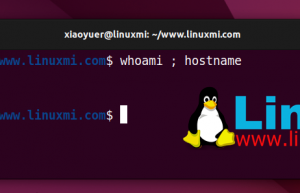 如何在 Linux 中高效运行终端命令