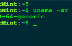 Ubuntu 如何手动升级到最新的 Linux 内核
