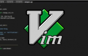 开发人员为什么更喜欢 NeoVim 而不是 Vim ？