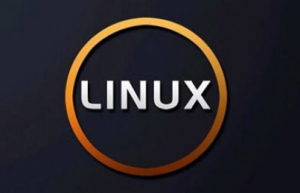 如何在Linux中安全的删除文件和目录