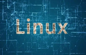 了解 Linux 文件权限，简单明了