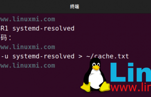 Linux下如何查看和清除DNS缓存