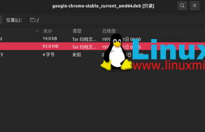 Linux 下二进制包 vs 源代码包：你应该选择哪个？