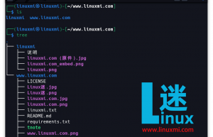 Linux 中的相对路径和绝对路径就是这么简单