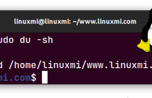 Linux 上使用 “小神器” 来延长磁盘使用寿命