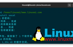 Linux 命令 socat – netcat 实用程序的出色替代品