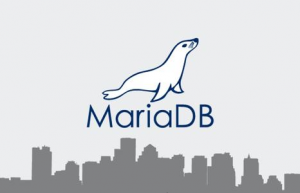 CentOS 7上安装最新的MariaDB 10.6：步骤和注意事项