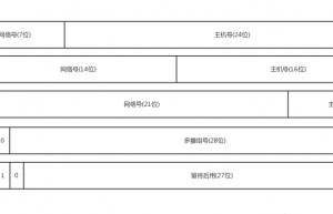 你真的会查看 IP 地址吗？