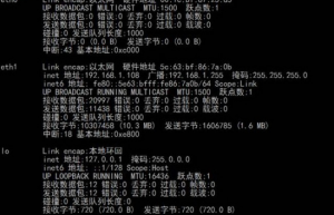 Shell中4个关键的网络命令