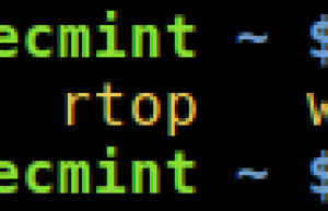 GoTTY：把你的 Linux 终端放到浏览器里面