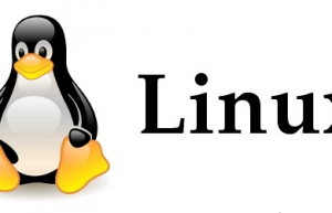 Linux 之父终于被劝动：用了 30 年的 Linux 内核 C 语言将升级至 C11