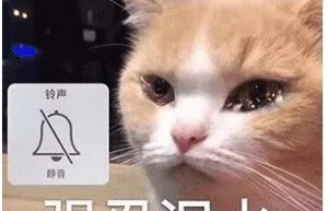 在Linux终端管理你的密码！