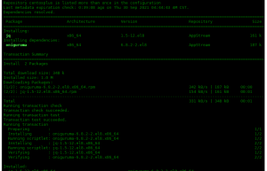 Linux根目录扩容——学习记录
