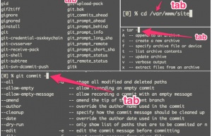 zsh 是 shell 中的极品？