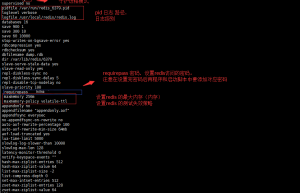 单实例redis 的安装配置（上）