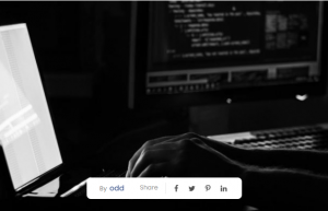 Linux 文件系统类型导航