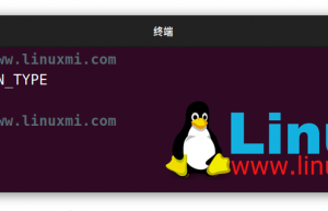 如何在 Linux 上运行 Android 应用程序和游戏