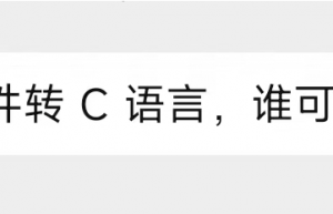 bin文件转C语言，可以吗？