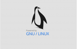 Linux与GNU有什么关系？