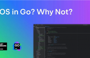 为什么不用Go开发操作系统？