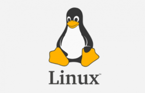 这12个命令是Linux新手必备