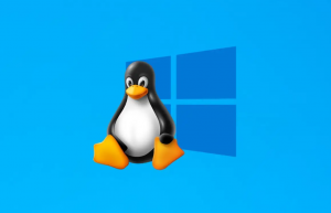 Linux 和 Windows 电脑之间共享文件