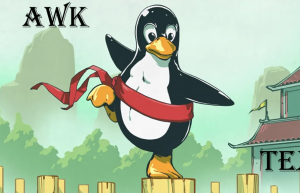 详解awk 的 ‘next’ 命令