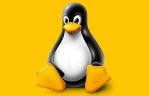 详解 Linux cheat命令