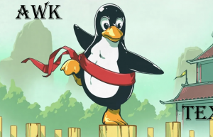 详解 awk 中使用 if else 语句
