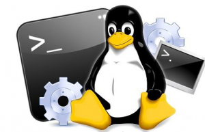 探秘 Linux 系统中的 uname 命令
