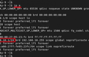 如何在 RHEL 9 上轻松搭建 DHCP 服务器