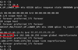 在 RHEL 9 / Rocky Linux 9 上配置 DHCP 服务器