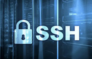 这三个技巧可以有效保护SSH