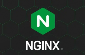 讲解一下Nginx禁止ip加端口访问问题