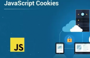 Vue中使用js-cookie具体方法
