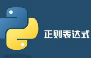 python中使用正则表达式