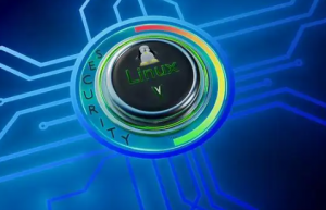Linux内核之数据双链表