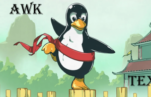 AWK 读取标准输入（STDIN）具体方法