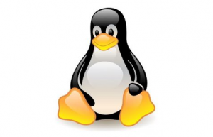 曝光linux系统最”自私“的一些事