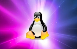 Linux 系统下 查找文件 命令总结，这个很哇塞！