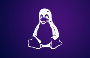 Linux 中修改打开文件的数量限制